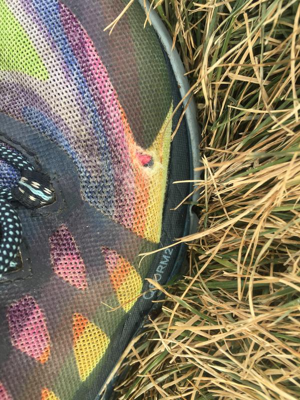 Photo submitted with review of product