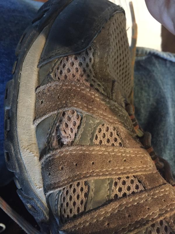 Photo submitted with review of product