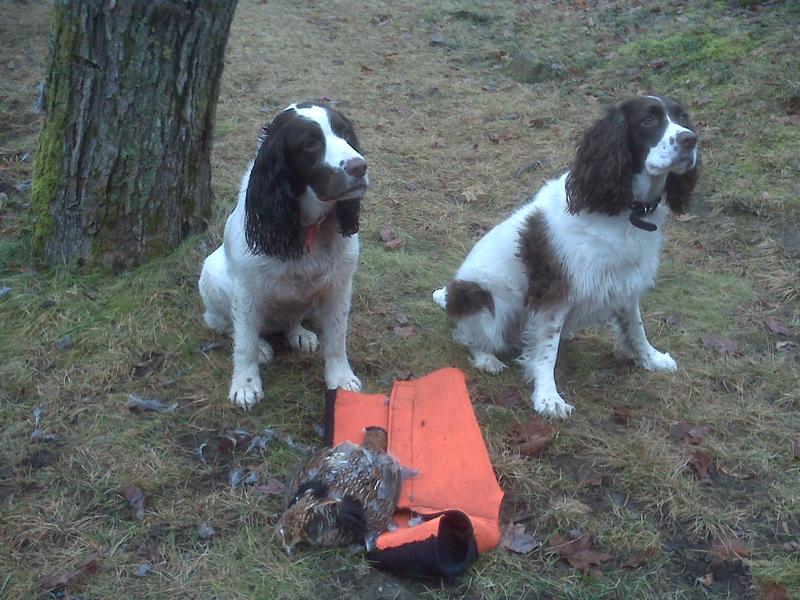 Maggie and Ginger
