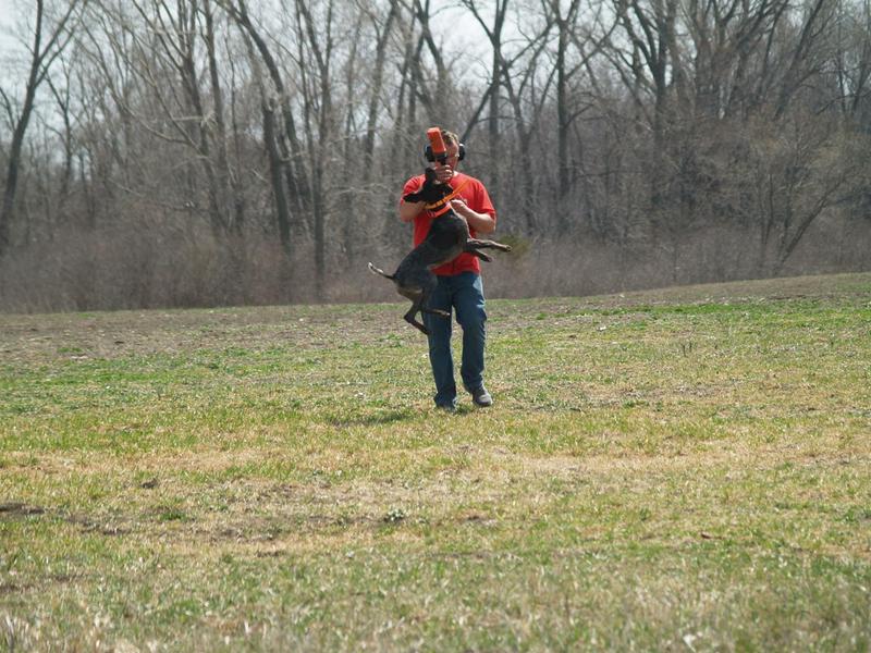 Review photo 8.