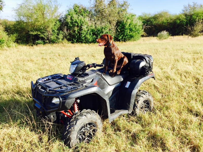 Copper! One year old!