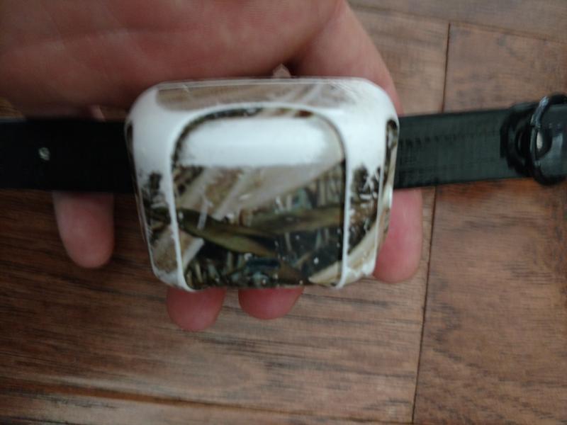 Review photo 2.