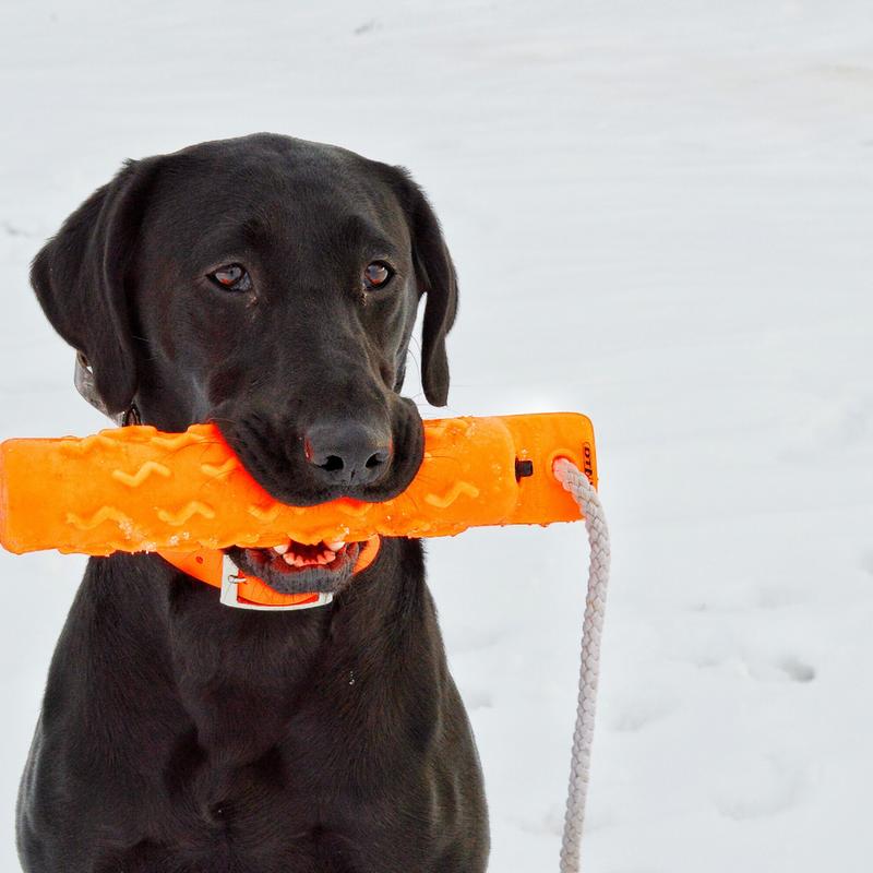 Dummy Launcher Hunting Dog Equipment Dog Trainers Supply
