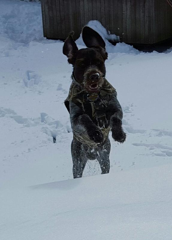 Training in the snow.