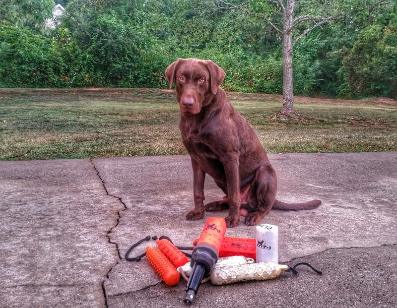 Training with the DT Launcher.
