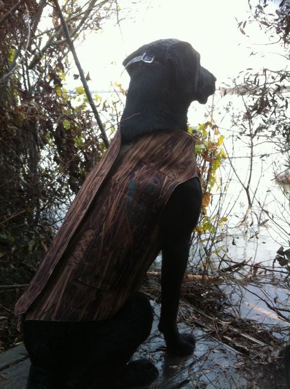 Where's the Ducks dad!