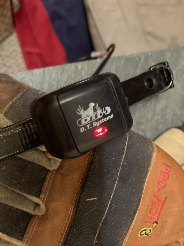 Finally charging. Don’t dare to touch it.