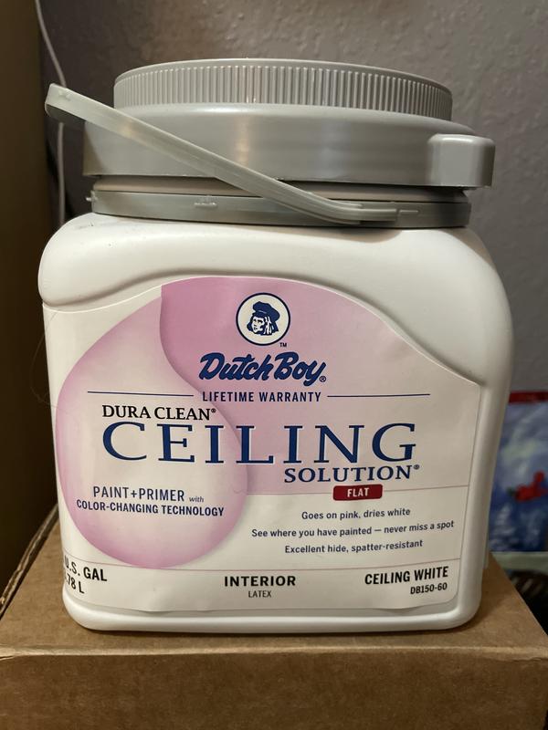 Ceiling Paint Goes Pink Dries White Shelly Lighting
