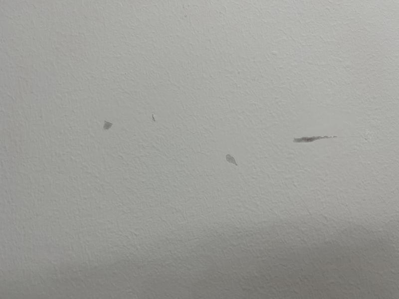 After using the tape, and after repairing the damage the tape did