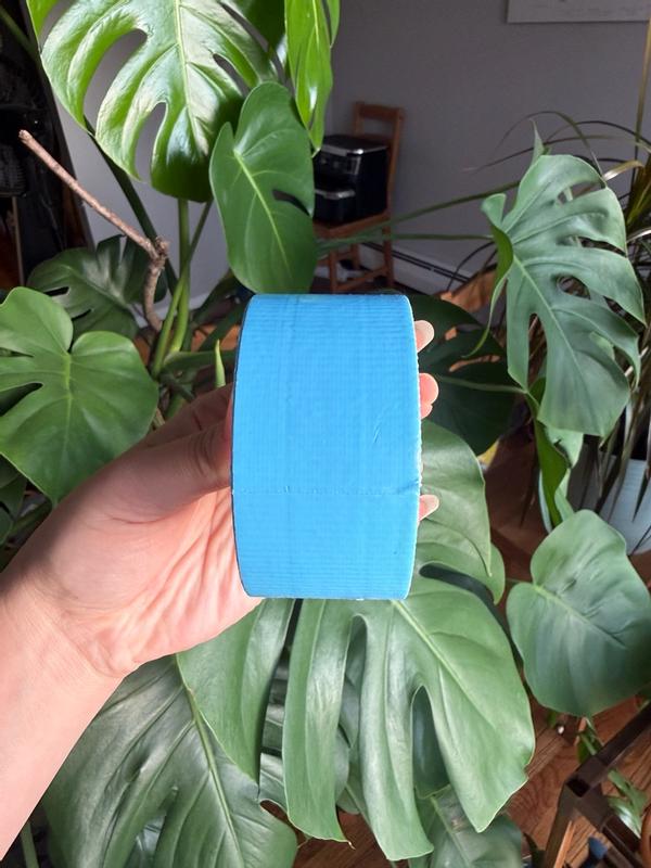 Photo - commentaire 8.