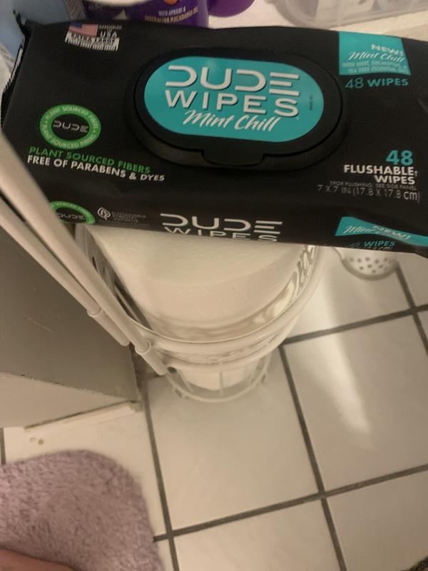 DUDE WIPES 48ct Dispenser Pack, Mint 3PACK