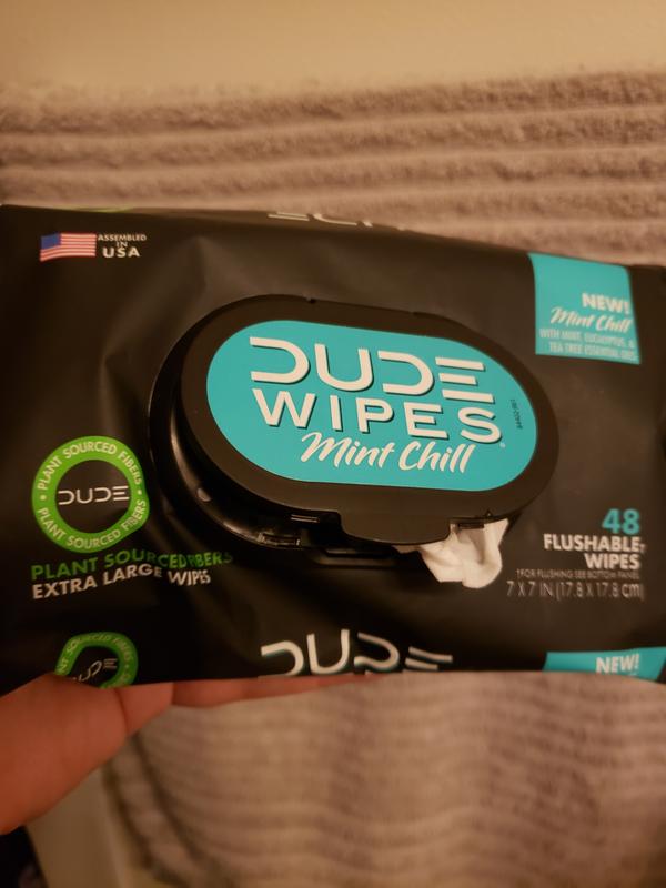  DUDE Wipes - Flushable Wipes - 1 Pack, 48 Wipes