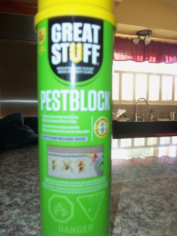 Review photo 7.