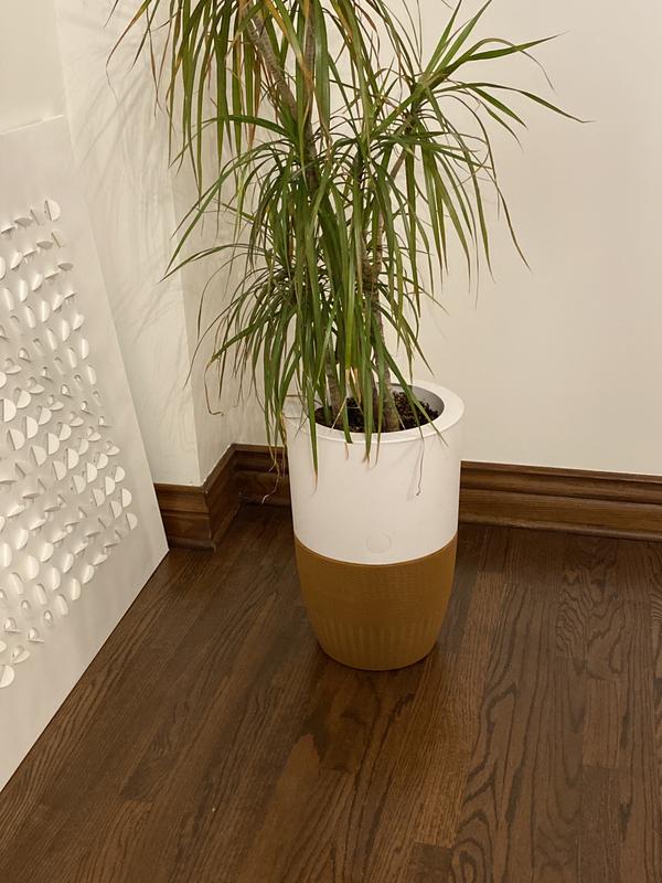 Bloom air purifier by Dupray