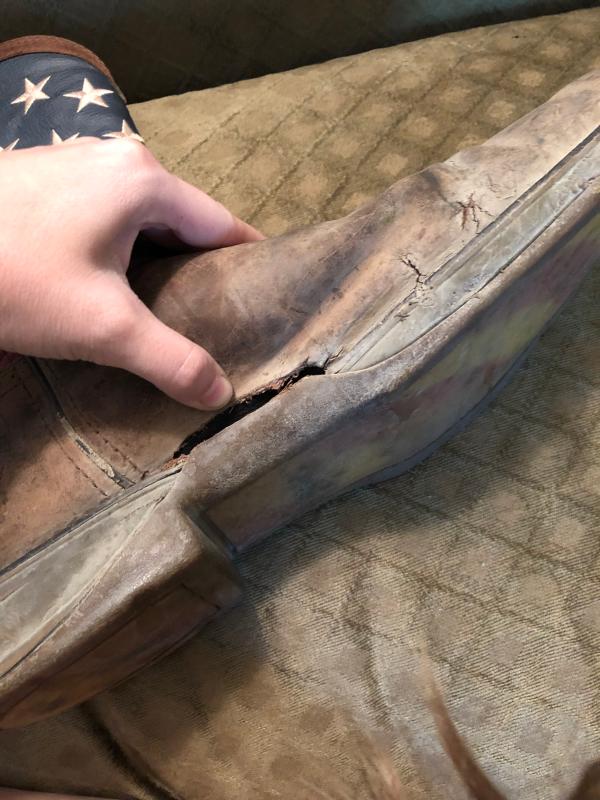 Photo submitted with review of product