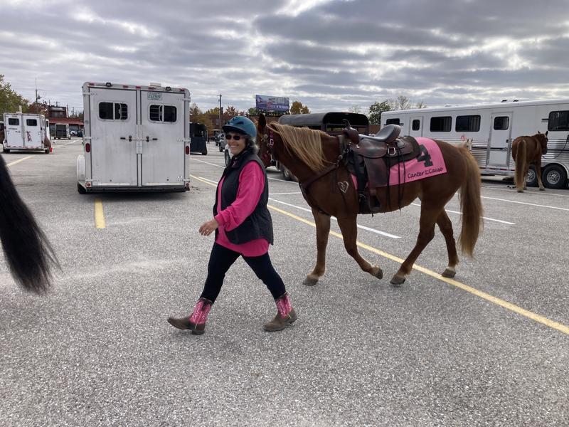 Durango: Women's Pink Ribbon Cancer Benefit Western Boots