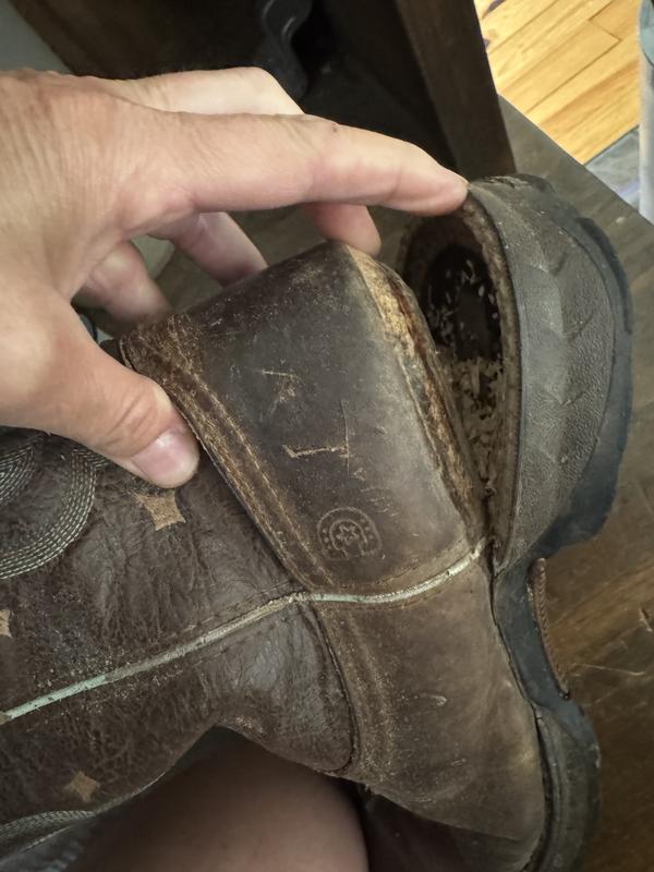 Photo from AllieD1234