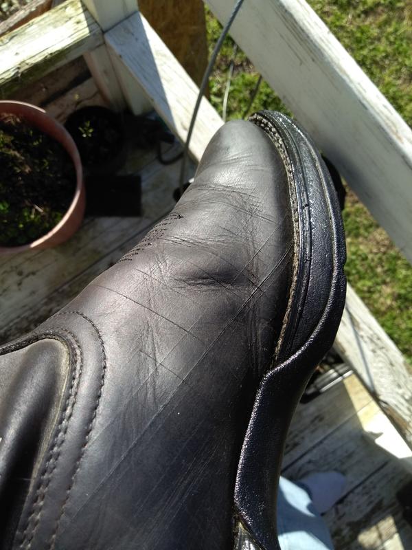 Photo submitted with review of product