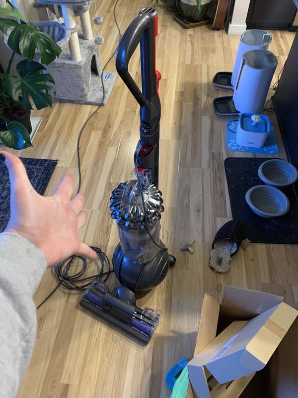 dyson big ball animal allergy