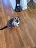 User submitted photo