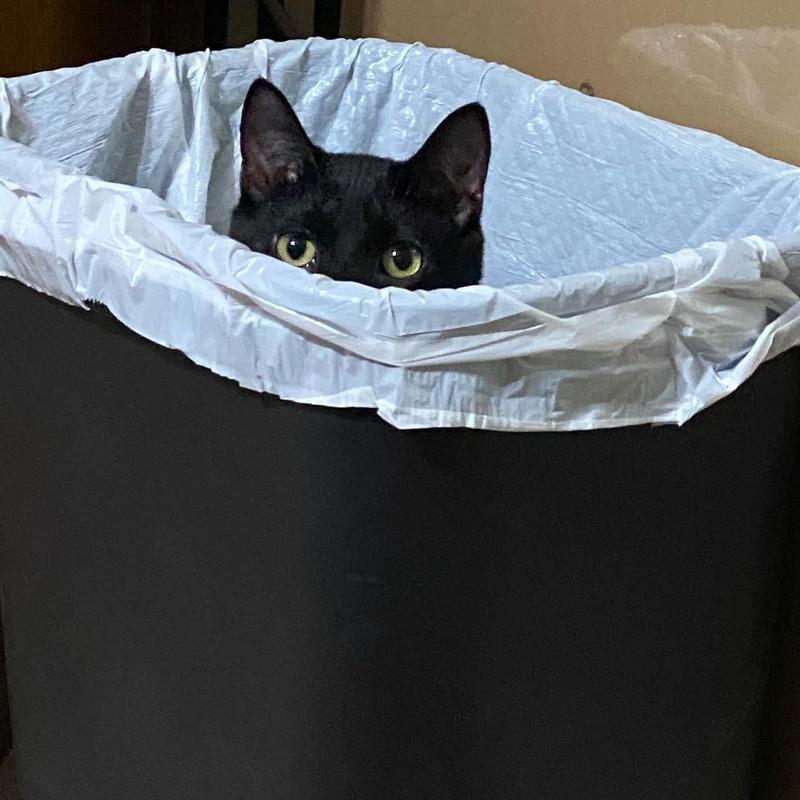 The hair doesn’t always stay in the trash.