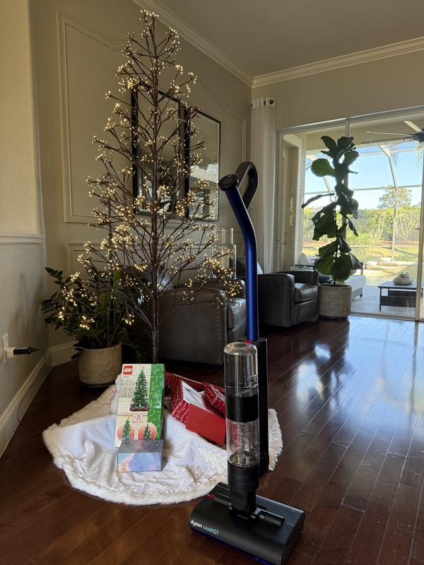 Amazing in Every Way!