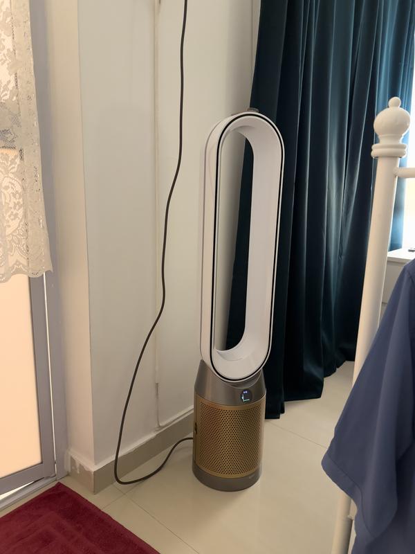 Dyson in Master Bedroom