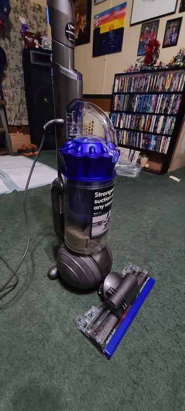 Say hello to Mr.Stinky Fallover Stiffhosse