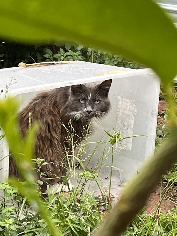 Photo - commentaire 2.