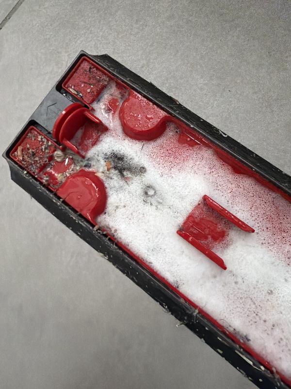 Photo - commentaire 3.