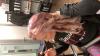 User submitted photo
