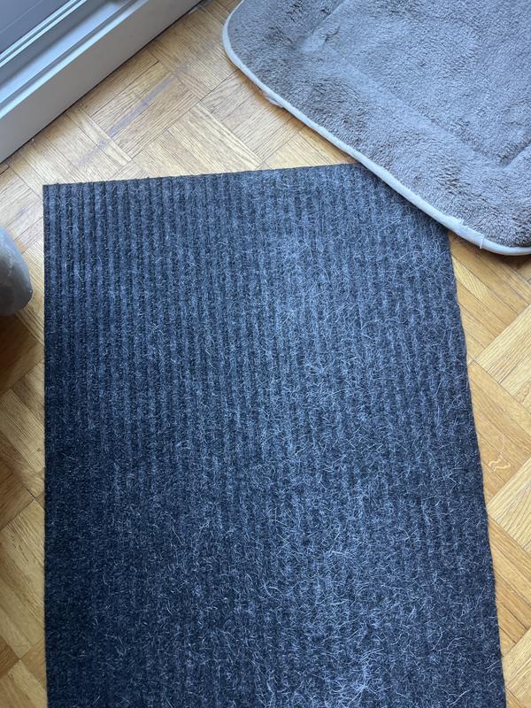 Carpet (left side clean after 1 run)