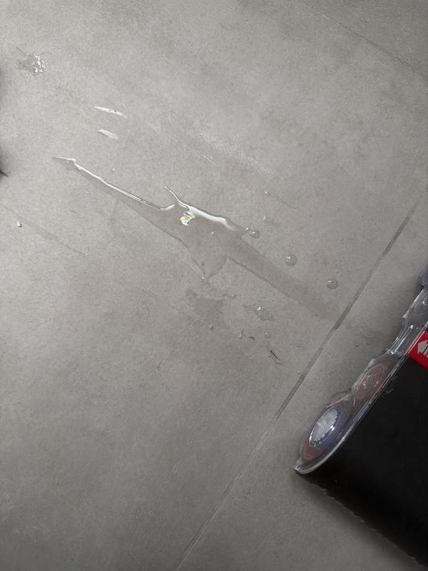 Photo - commentaire 4.