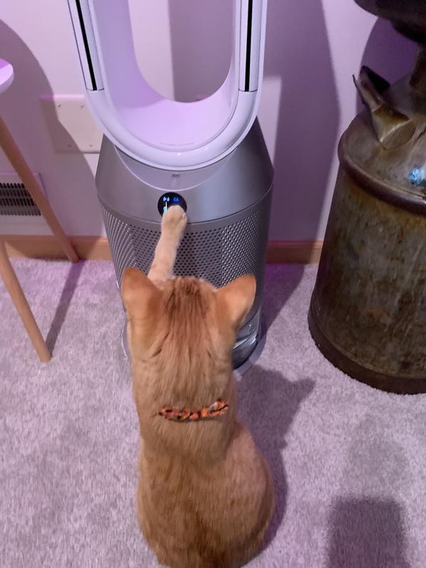 Reviews for Dyson Purifier Humidify+Cool PH03 | Pg 1 - The