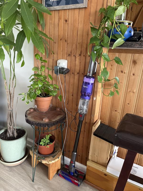 It’s so beautiful, I don’t have to hide it 😁