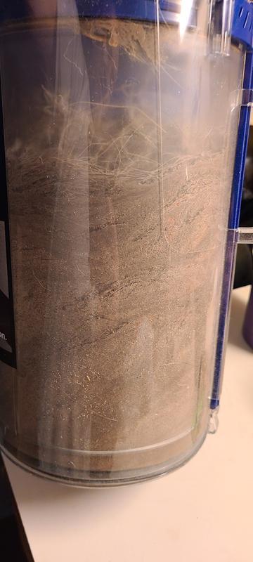 HOLY CRAP! That's where my yard went. It was in my rug.