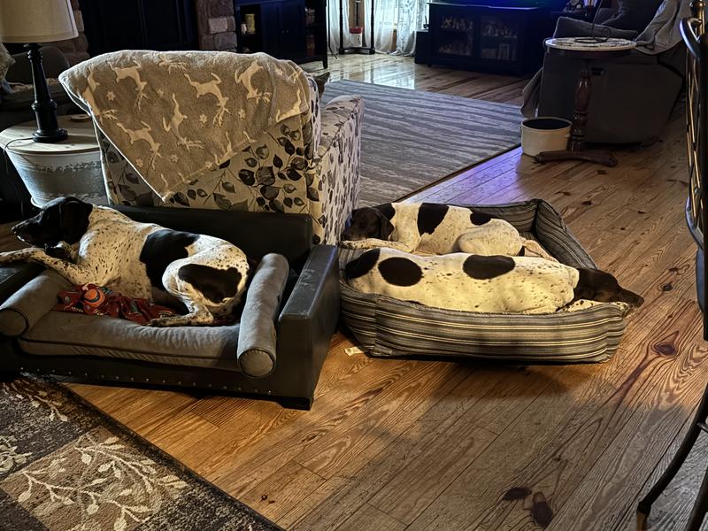 The culprits of hair and dirt!