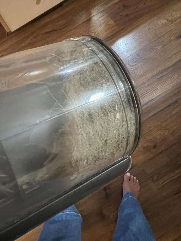 Blows my mind how much it gets ever single time