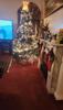 User submitted photo