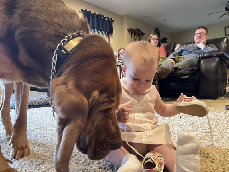 Gus is on the floor with the babies, so we have to keep it clean.