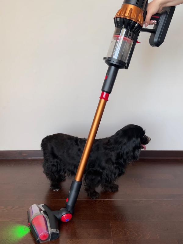Dyson, V16 Piston Animal Cordless Vacuum | Zola