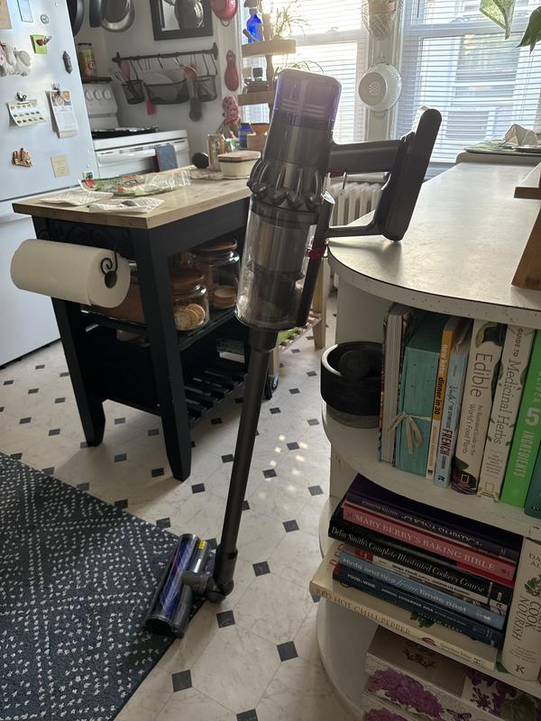 V11 Cordless Vacuum - Blue