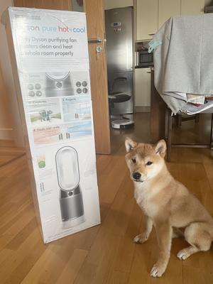 Purifier and allergen