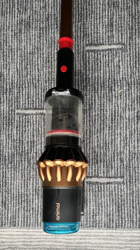 Photo - commentaire 3.