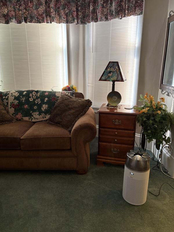 Photo - commentaire 6.