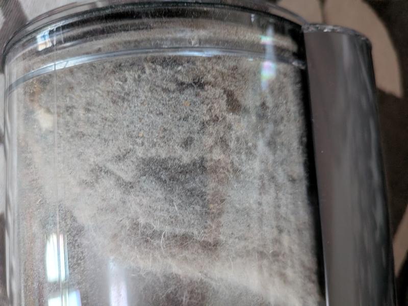 Carpet pile:  taking the life out of our carpet