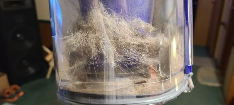 Some of the hair picked up when I first used it on a small spot