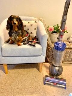 Photo - commentaire&nbsp;4.