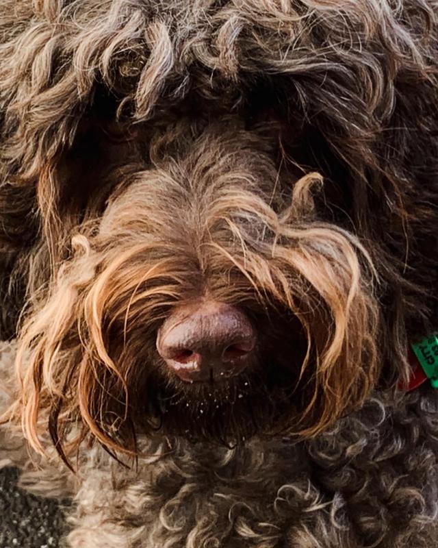 Photo - commentaire 3.