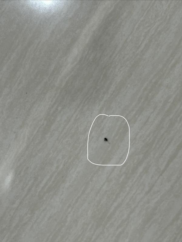 Photo - commentaire 8.